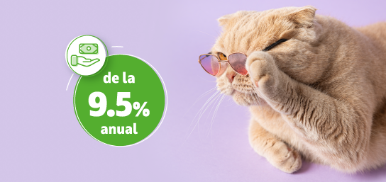 TOP Credit de la OTP Bank